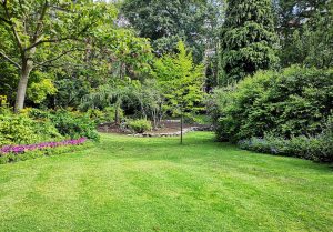 Optimiser l'expérience du jardin à Champagnac-la-Riviere